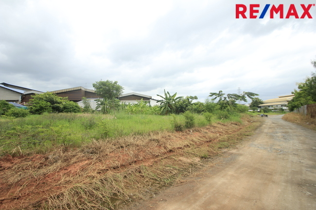 ที่ดินเปล่า สมุทรสาคร เมืองสมุทรสาคร นาดี 7731000