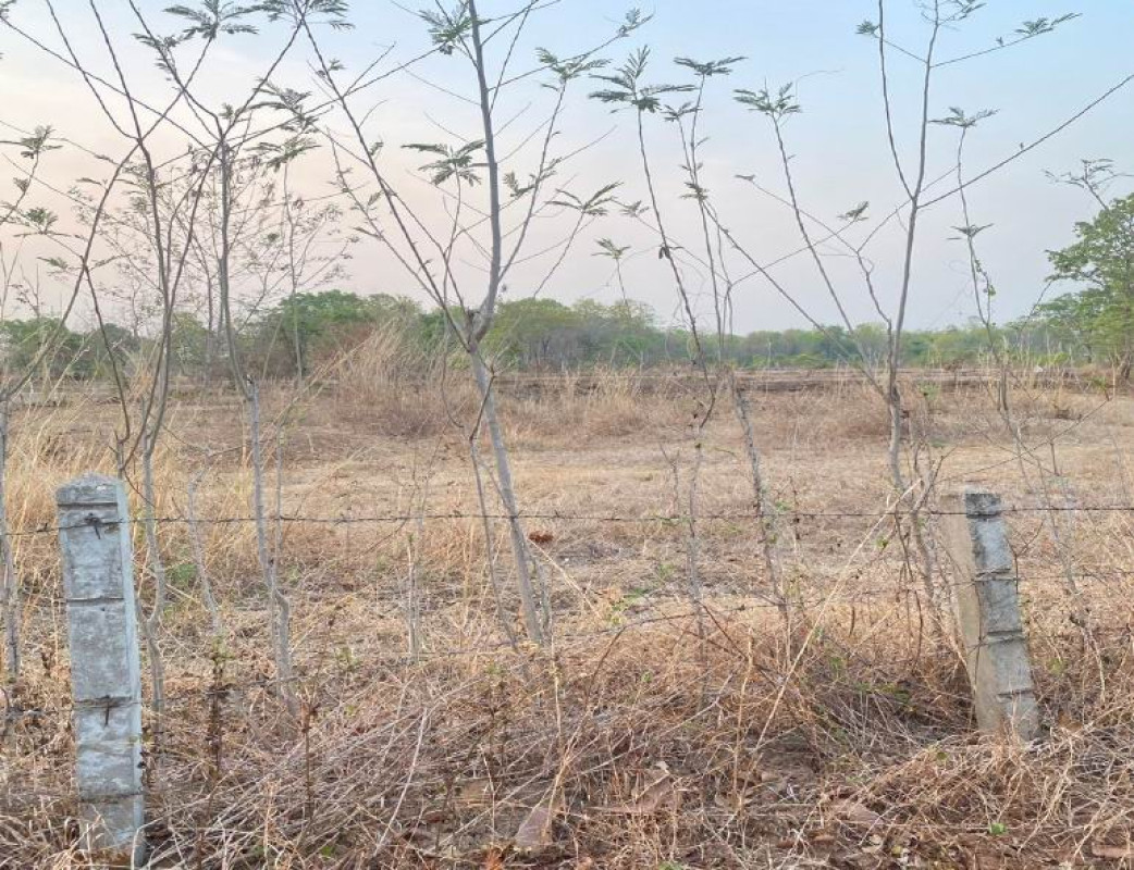 บ้านเดี่ยว สกลนคร เมืองสกลนคร เชียงเครือ 205480