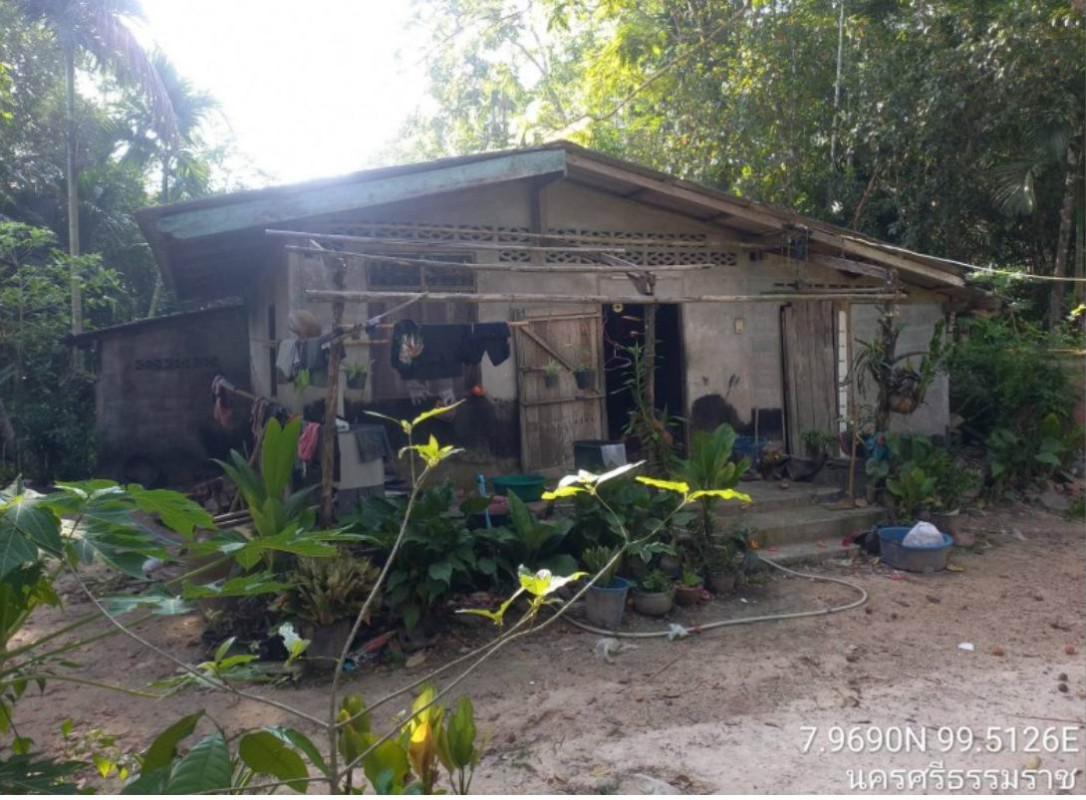 บ้านเดี่ยว นครศรีธรรมราช บางขัน บ้านนิคม 668933