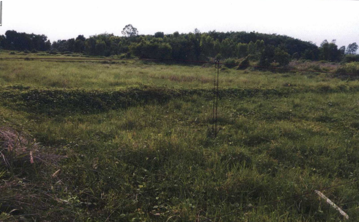 ที่ดินเปล่า มหาสารคาม กันทรวิชัย ศรีสุข 80000