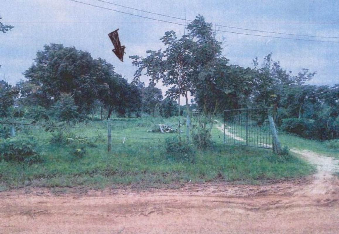 ที่ดินเปล่า ชัยภูมิ คอนสวรรค์ ช่องสามหมอ 508980