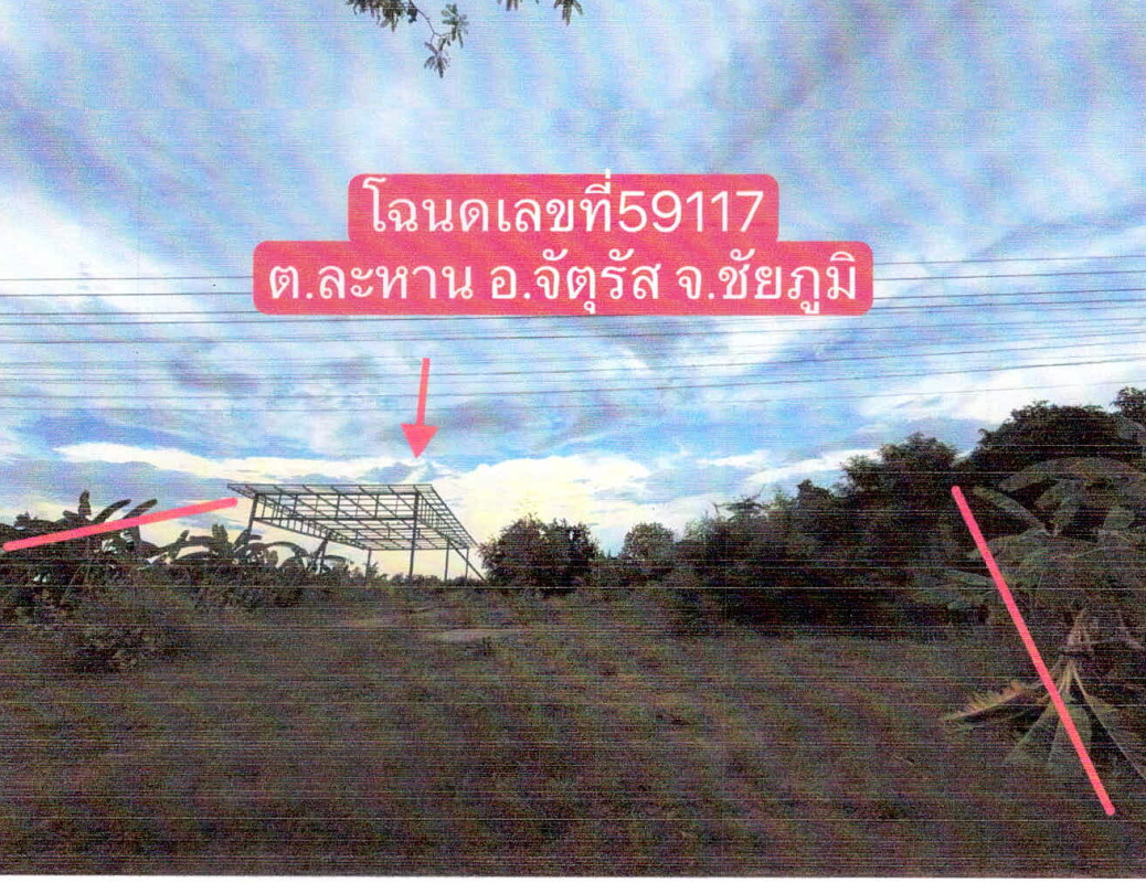 บ้านเดี่ยว ชัยภูมิ จัตุรัส ละหาน 342870