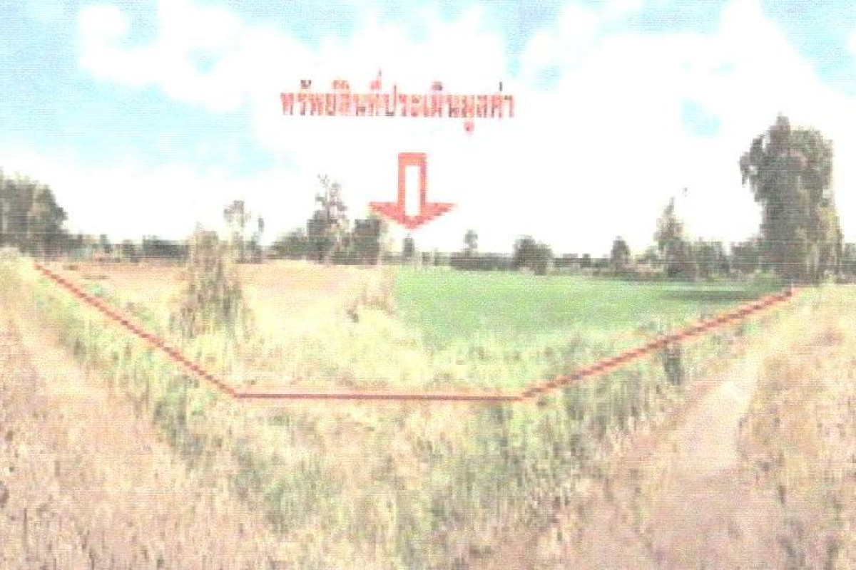 ที่ดินเปล่า ชัยภูมิ เมืองชัยภูมิ กุดตุ้ม 746300