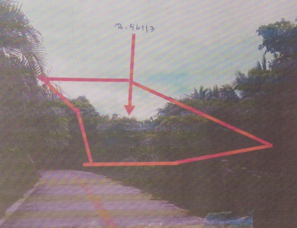 ที่ดินเปล่า สงขลา สิงหนคร ชิงโค 187440