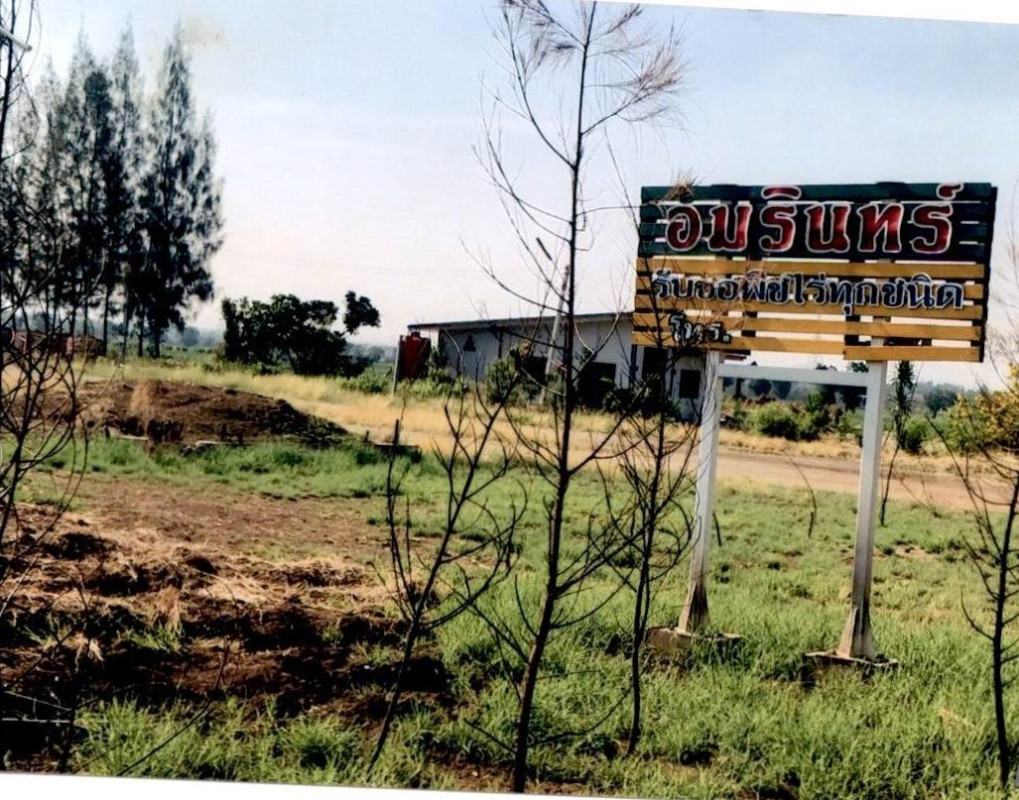 บ้านเดี่ยว เพชรบูรณ์ ศรีเทพ โคกสะอาด 2516385