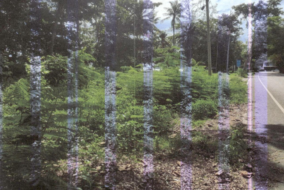 ที่ดินเปล่า กระบี่ เมืองกระบี่ หนองทะเล 2001000