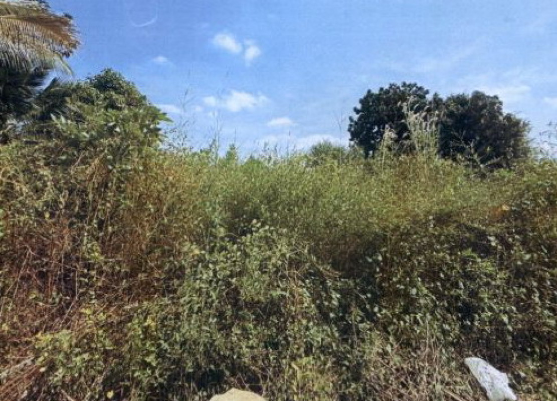 ที่ดินเปล่า ขอนแก่น แวงน้อย ละหานนา 60000