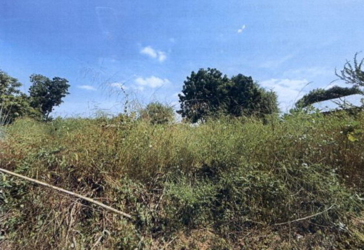 ที่ดินเปล่า ขอนแก่น แวงน้อย ละหานนา 60000