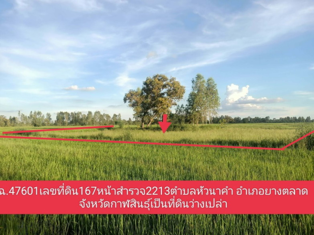 ที่ดินเปล่า กาฬสินธุ์ ยางตลาด หัวนาคำ 92000