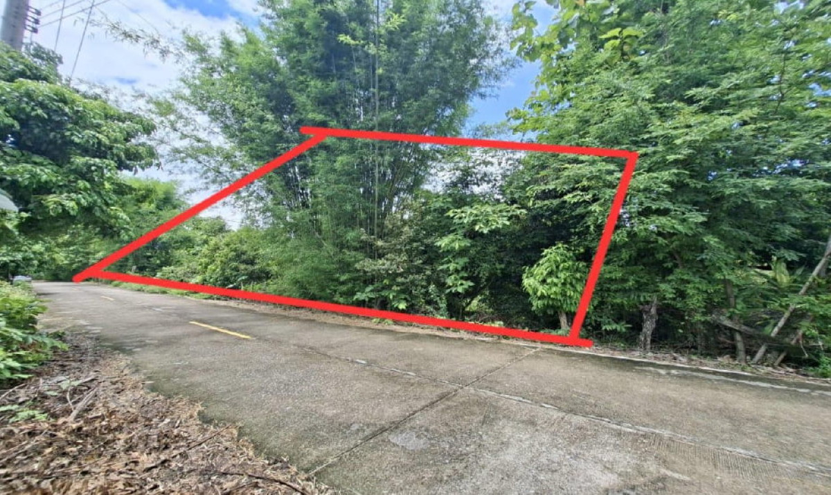 ที่ดินเปล่า เชียงใหม่ จอมทอง ข่วงเปา 382080