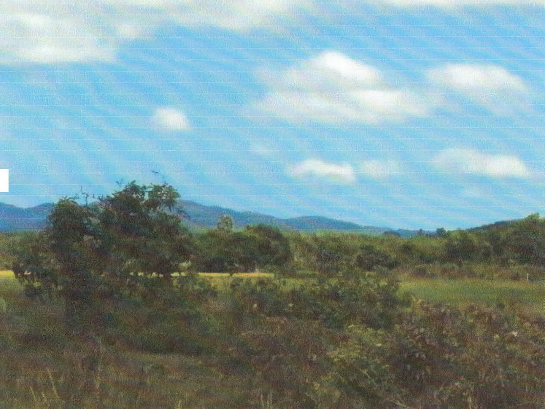 ที่ดินเปล่า ปัตตานี ยะรัง กอลำ 132300