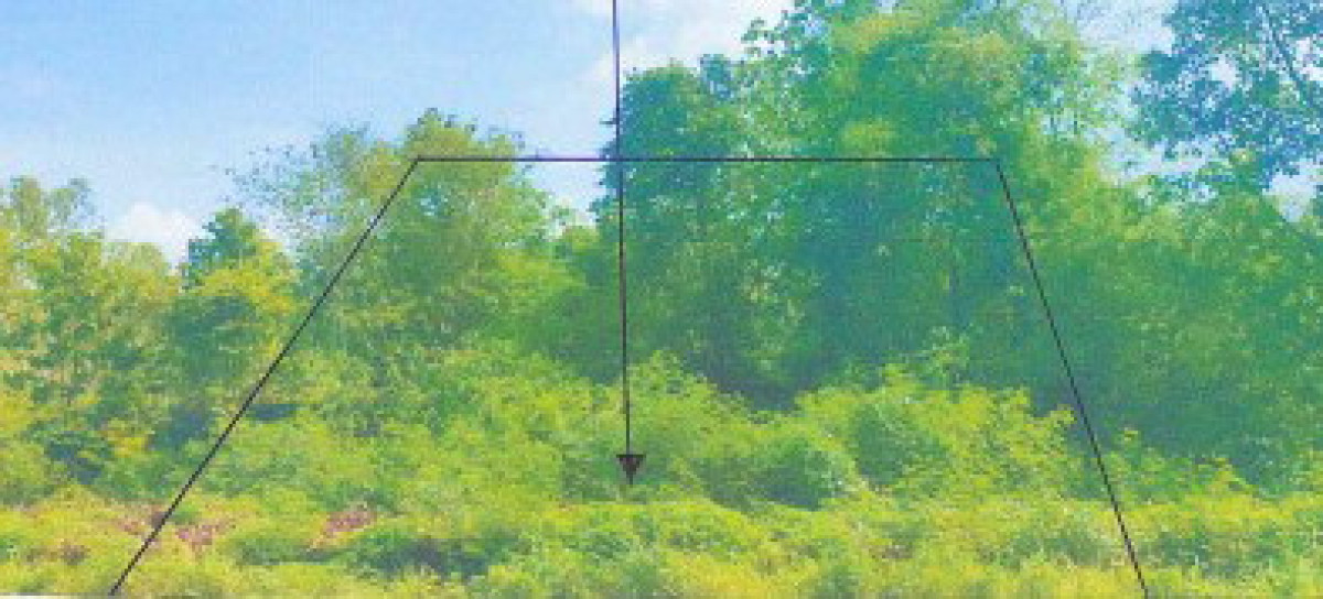 Residential land/lot Phitsanulok Nakhon Thai Ban Phrao 421200