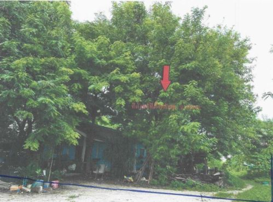 บ้านเดี่ยว ลพบุรี เมืองลพบุรี โคกตูม 2208644