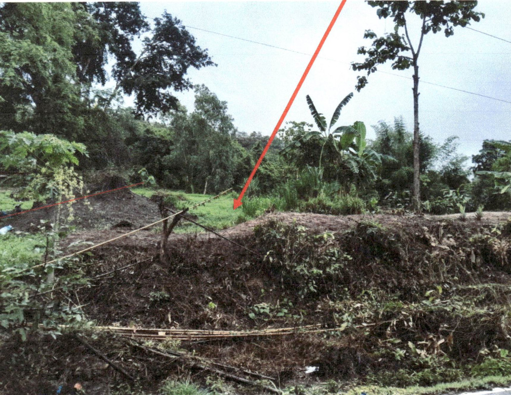 ที่ดินเปล่า พิษณุโลก นครไทย นาบัว 149006