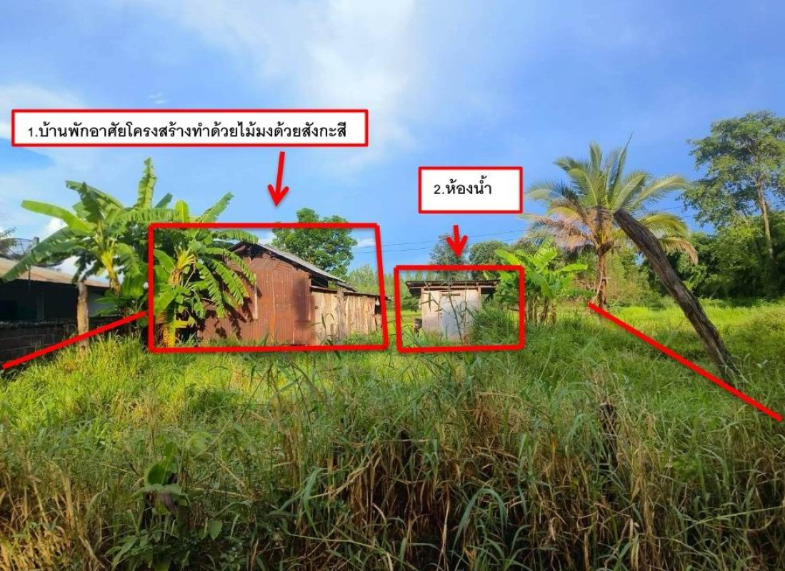 บ้านเดี่ยว ขอนแก่น มัญจาคีรี ท่าศาลา 273900