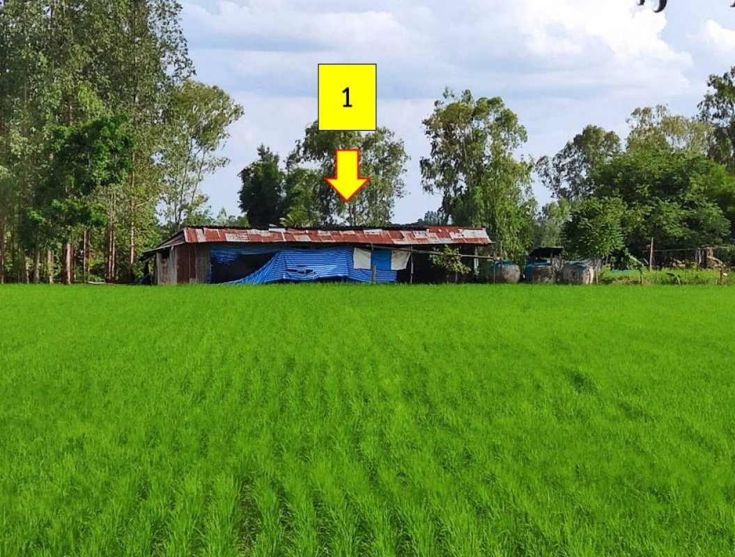 บ้านเดี่ยว ขอนแก่น เมืองขอนแก่น โคกสี 1109752