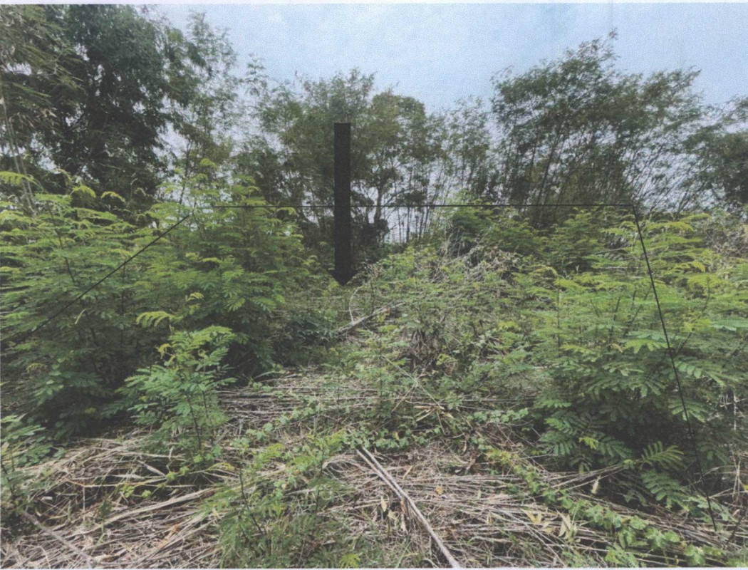 Residential land/lot Khon Kaen Mancha Khiri Nakha 30500