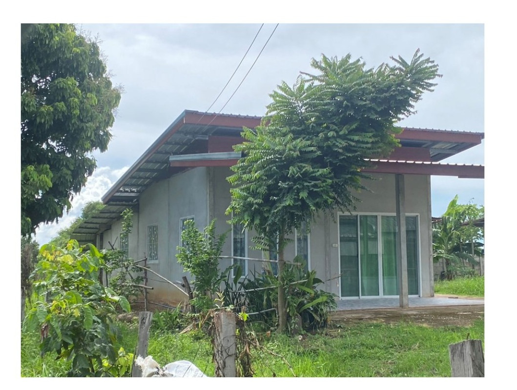 บ้านเดี่ยว ขอนแก่น กระนวน หนองกุงใหญ่ 279450