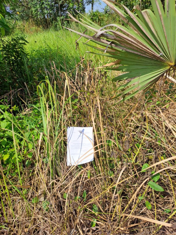 ที่ดินเปล่า ฉะเชิงเทรา บางน้ำเปรี้ยว หมอนทอง 76000