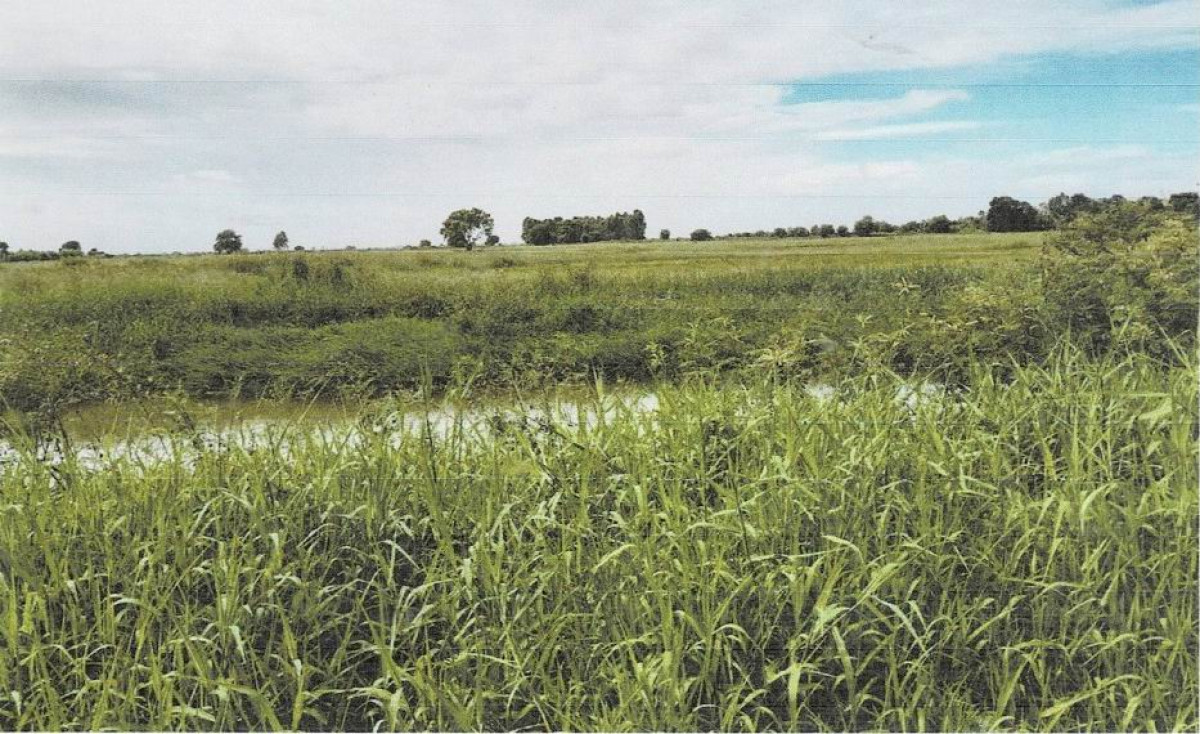 ที่ดินเปล่า ฉะเชิงเทรา ราชสาส์น ดงน้อย 600000