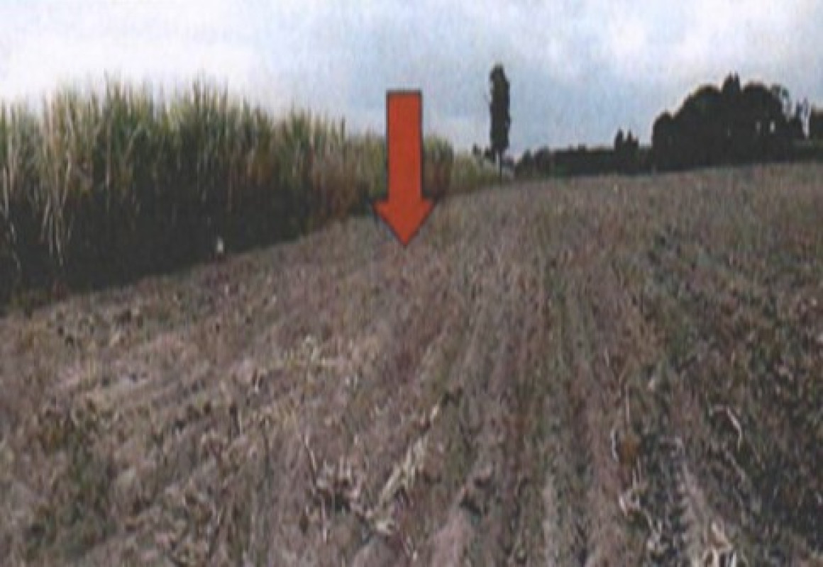 ที่ดินเปล่า ขอนแก่น กระนวน หนองโก 4952500