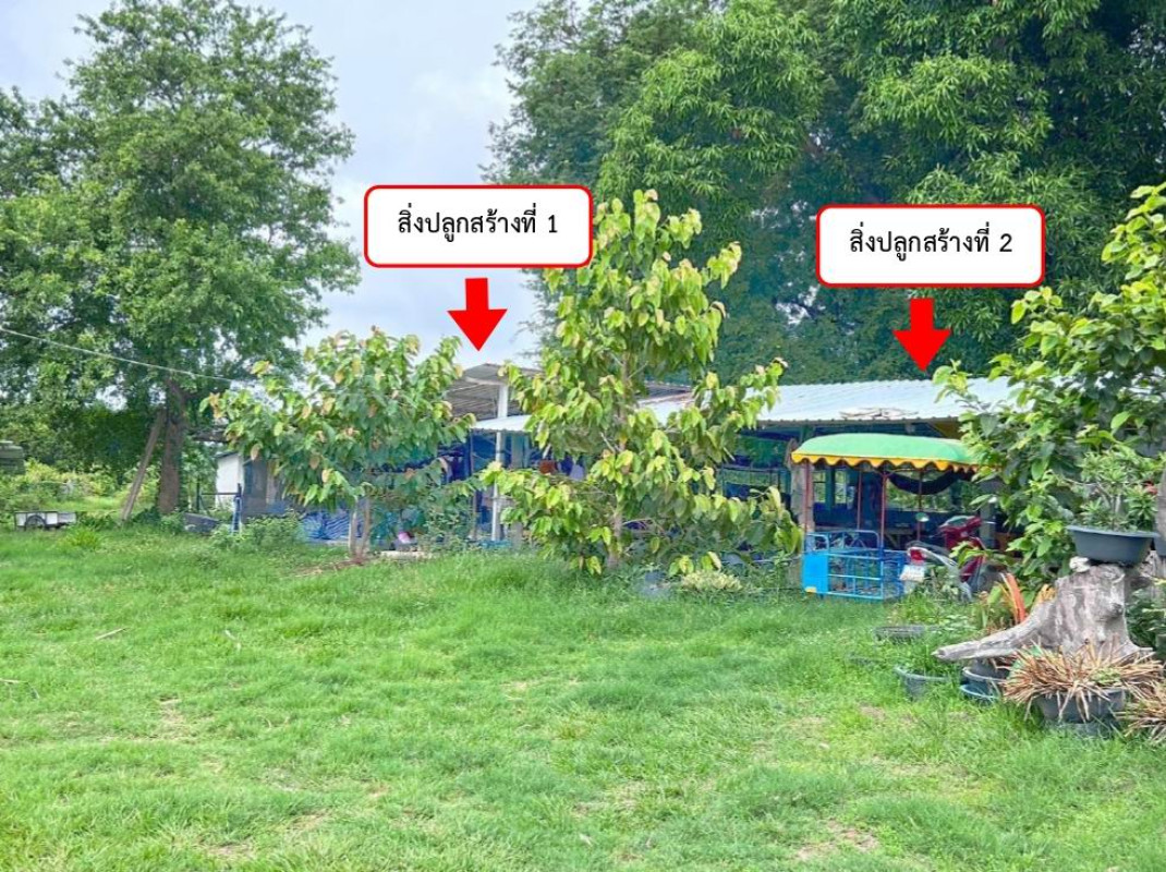 บ้านเดี่ยว มหาสารคาม กุดรัง กุดรัง 3295600