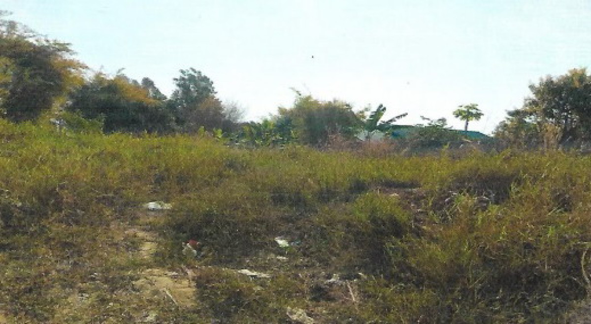 ที่ดินเปล่า กาฬสินธุ์ สมเด็จ หนองแวง 20000