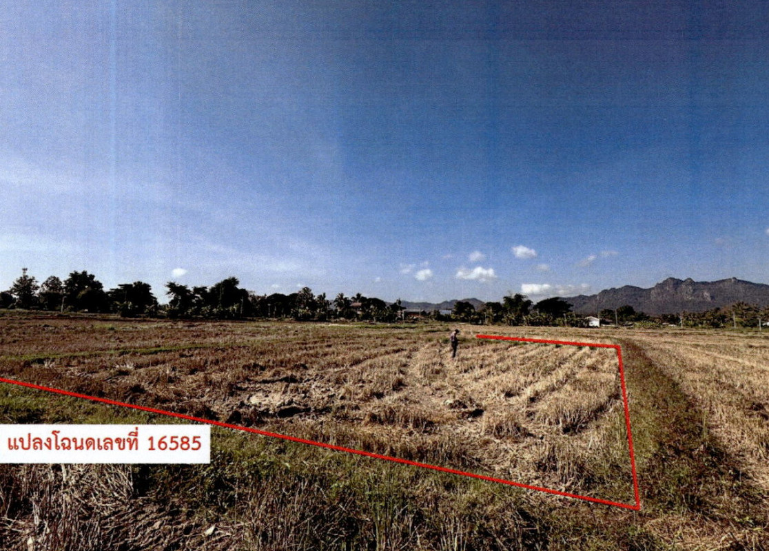 Residential land/lot Lampang Chae Hom Chae Hom 198750