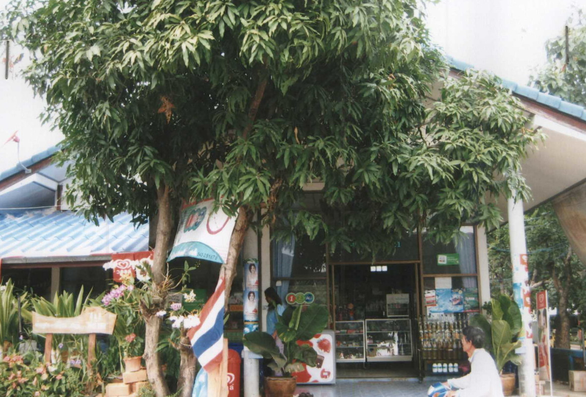 บ้านเดี่ยว ขอนแก่น กระนวน หนองกุงใหญ่ 434300