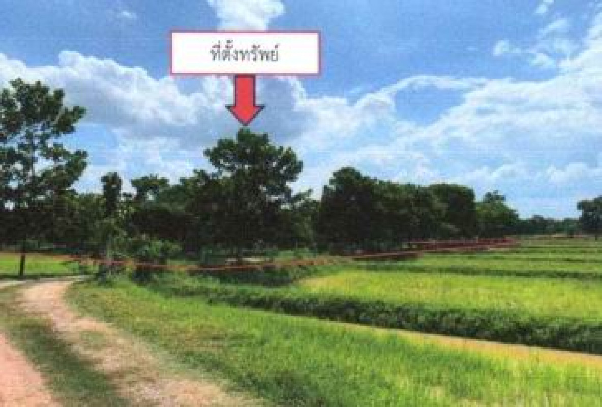 Residential land/lot Khon Kaen Phon Non Kha 1367400