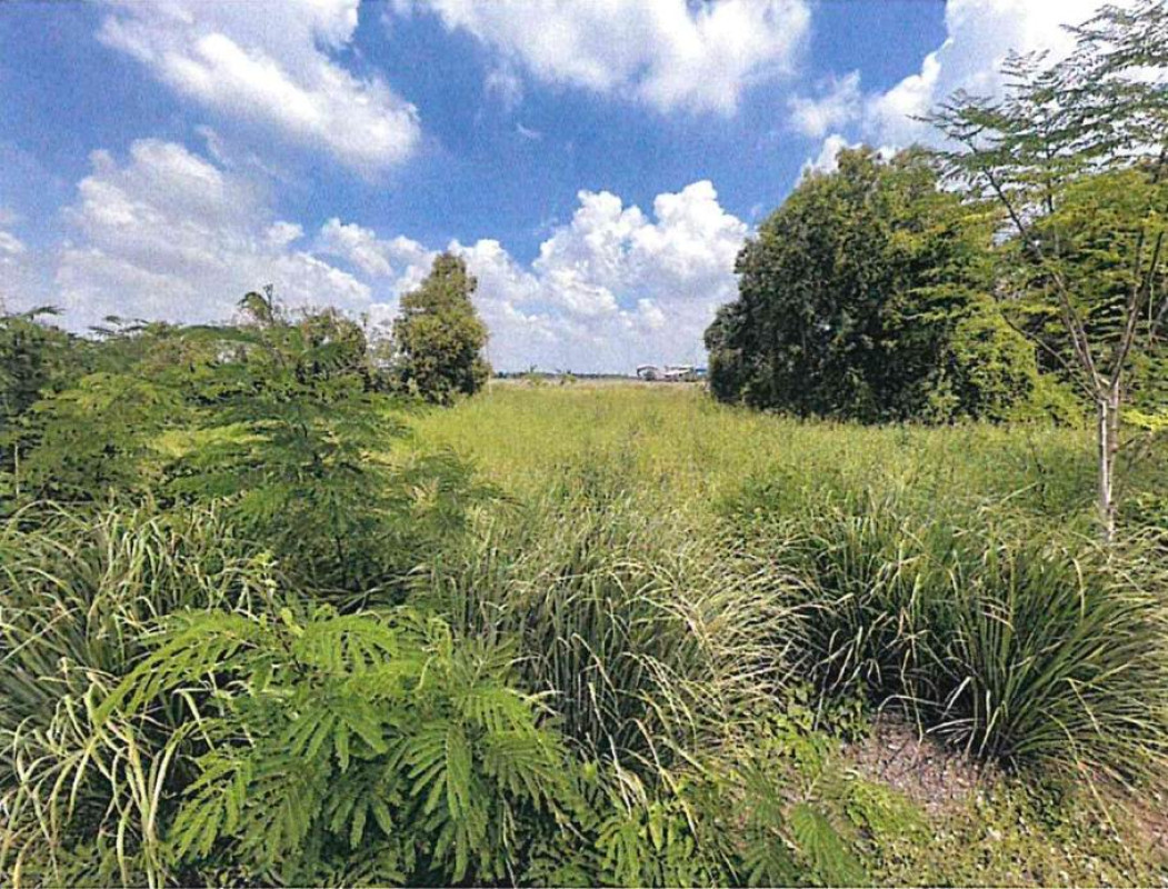 ที่ดินเปล่า ฉะเชิงเทรา บางน้ำเปรี้ยว ดอนฉิมพลี 84000