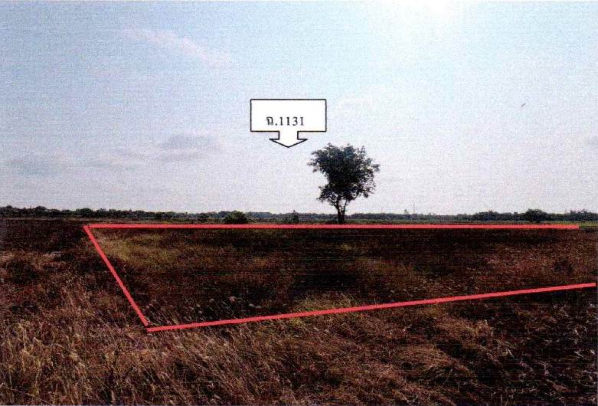 ที่ดินเปล่า ฉะเชิงเทรา พนมสารคาม เมืองเก่า 230400