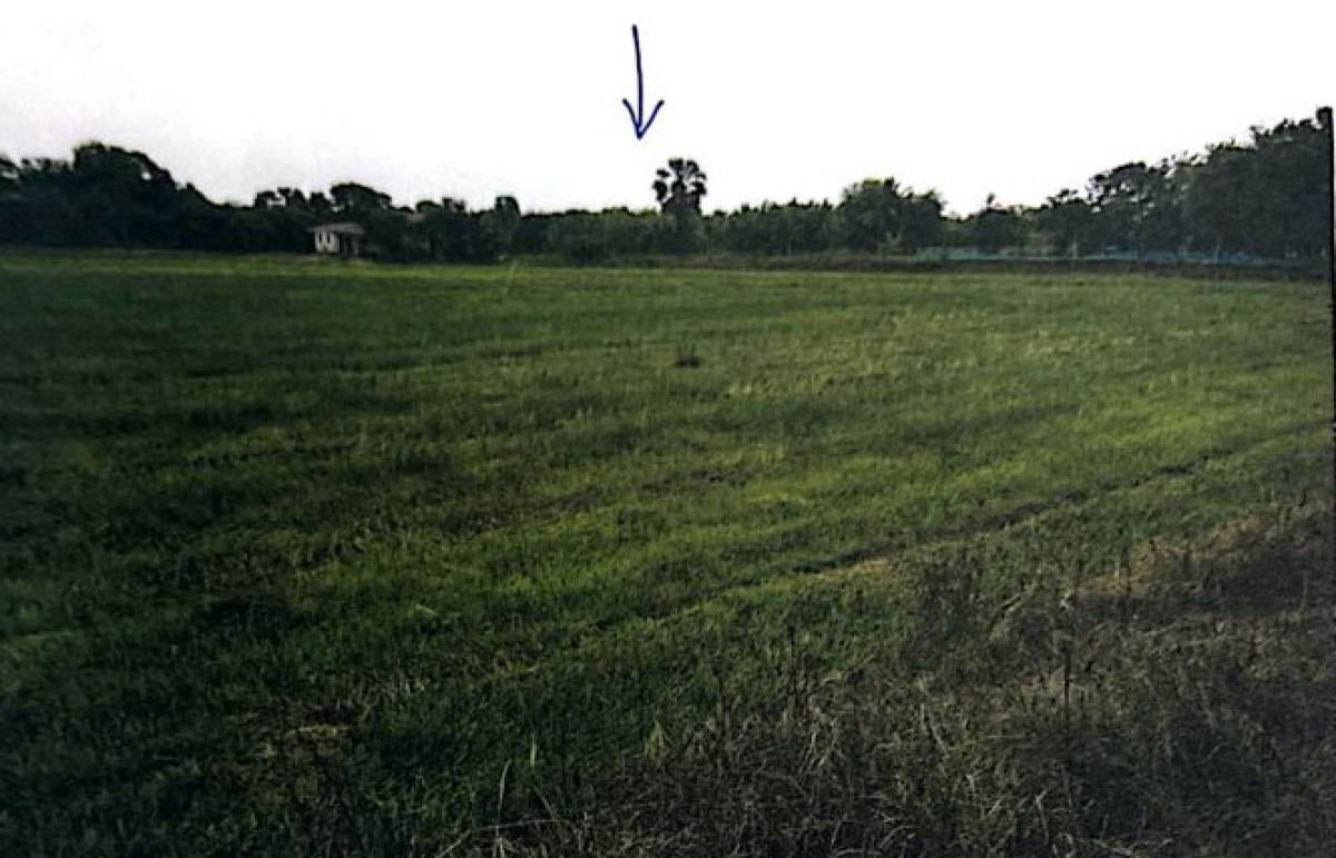 ที่ดินเปล่า นนทบุรี ไทรน้อย ราษฎร์นิยม 15386450