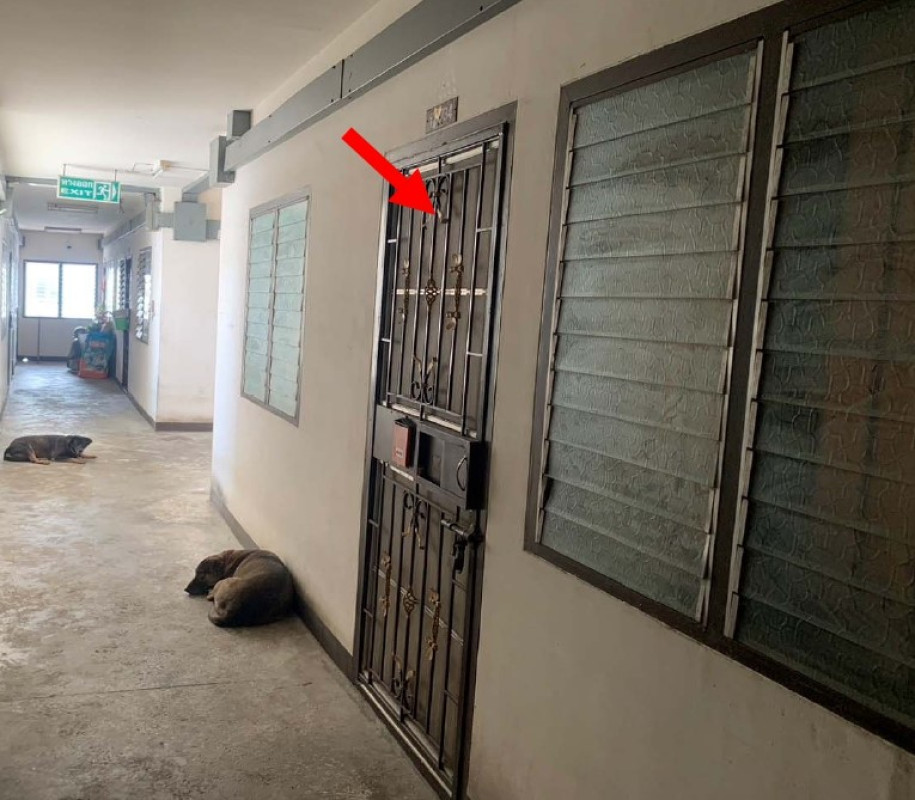 คอนโด สมุทรปราการ บางพลี บางพลีใหญ่ 390225