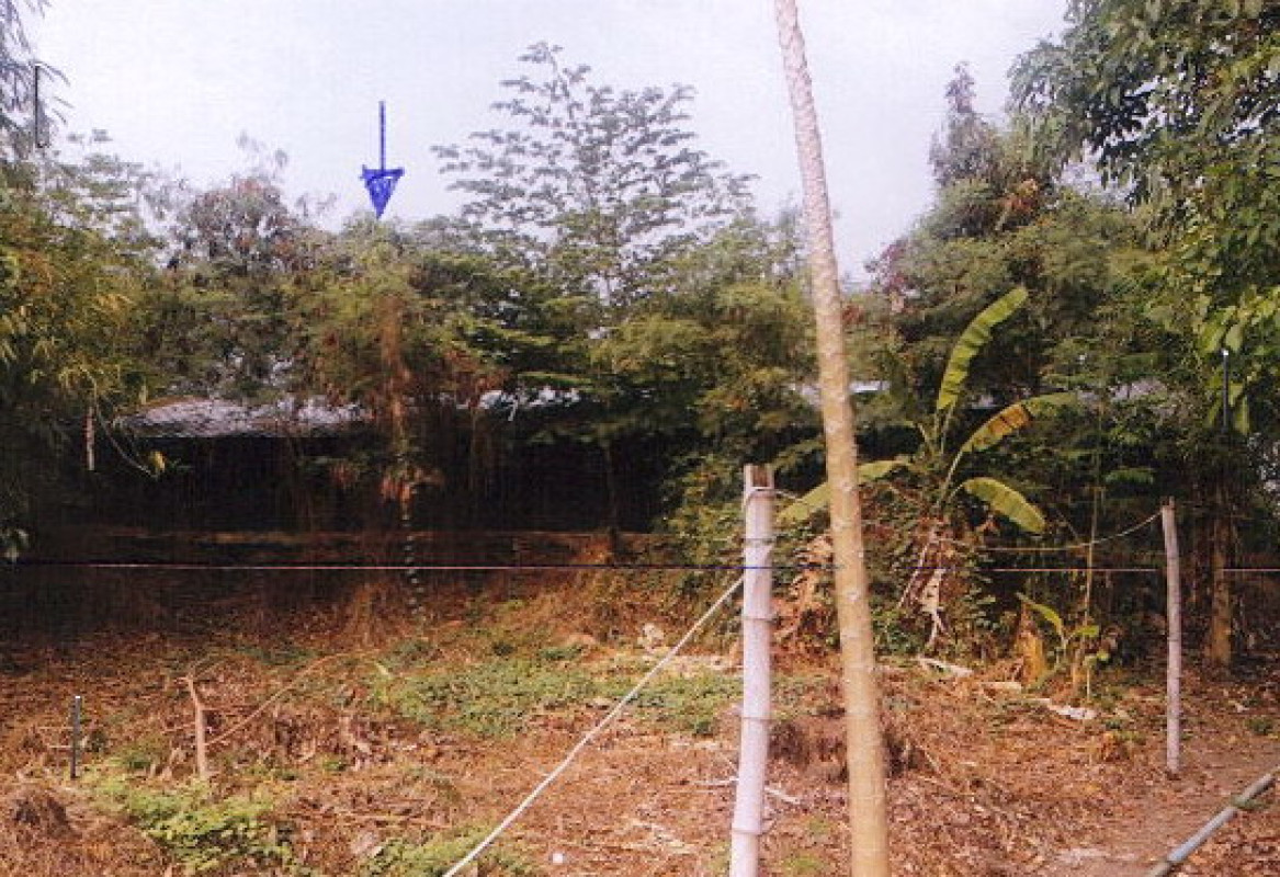 บ้านเดี่ยว พิษณุโลก บางระกำ ท่านางงาม 44383