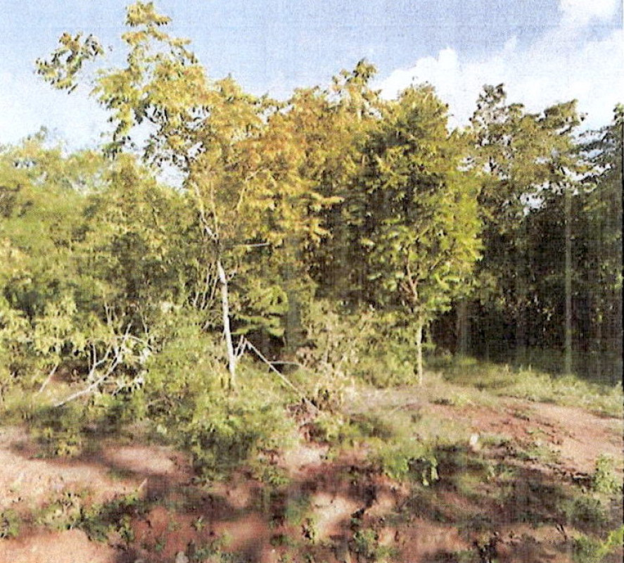 ที่ดินเปล่า ลำปาง เกาะคา ใหม่พัฒนา 35400