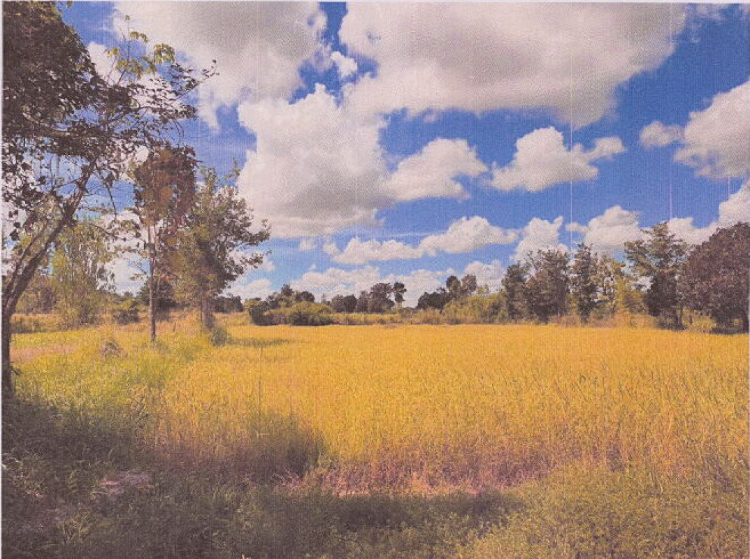 ที่ดินเปล่า มุกดาหาร นิคมคำสร้อย นาอุดม 84880