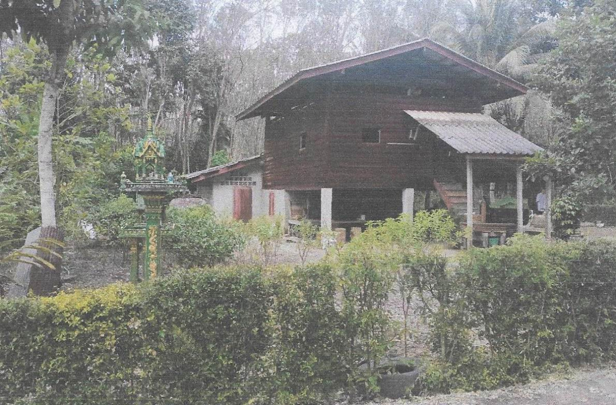 บ้านเดี่ยว สุราษฎร์ธานี พุนพิน บางมะเดื่อ 794950