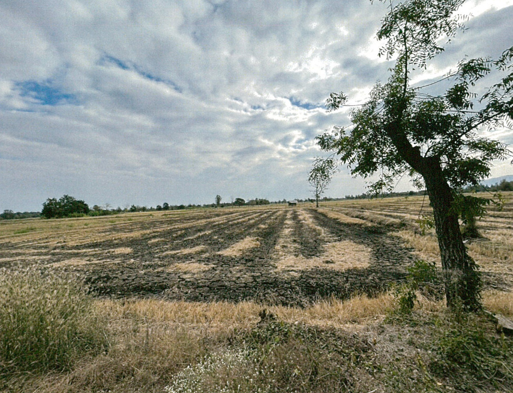 ที่ดินเปล่า เพชรบูรณ์ วิเชียรบุรี ท่าโรง 997920