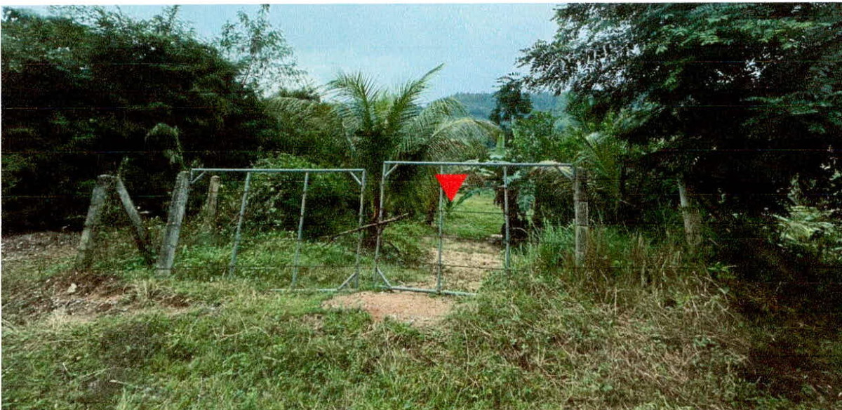 ที่ดินเปล่า ปัตตานี สายบุรี เตราะบอน 945000