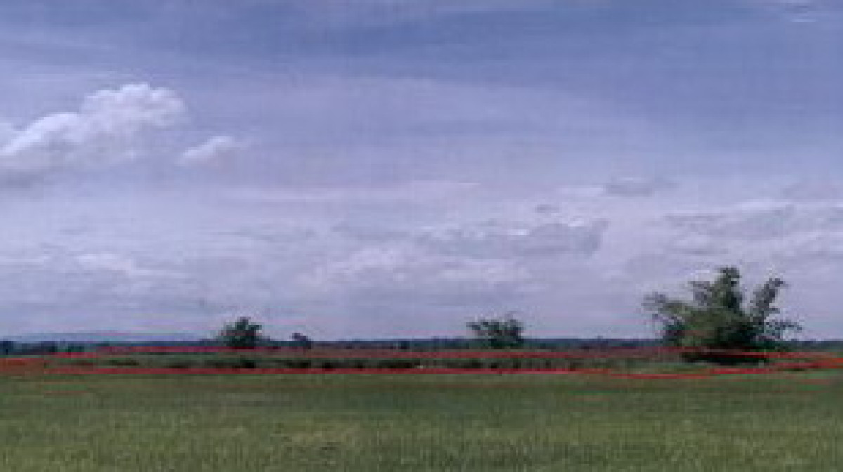 Residential land/lot Khon Kaen Ban Phai Mueang Phia 567840