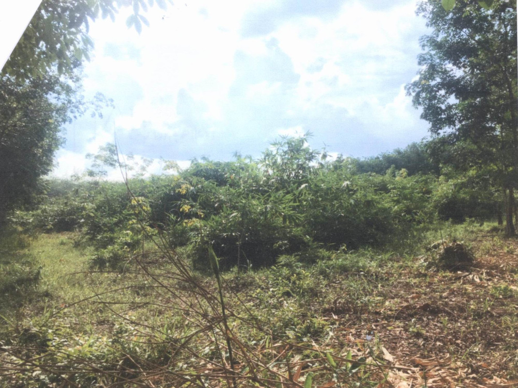 ที่ดินเปล่า สงขลา สะบ้าย้อย ทุ่งพอ 218200