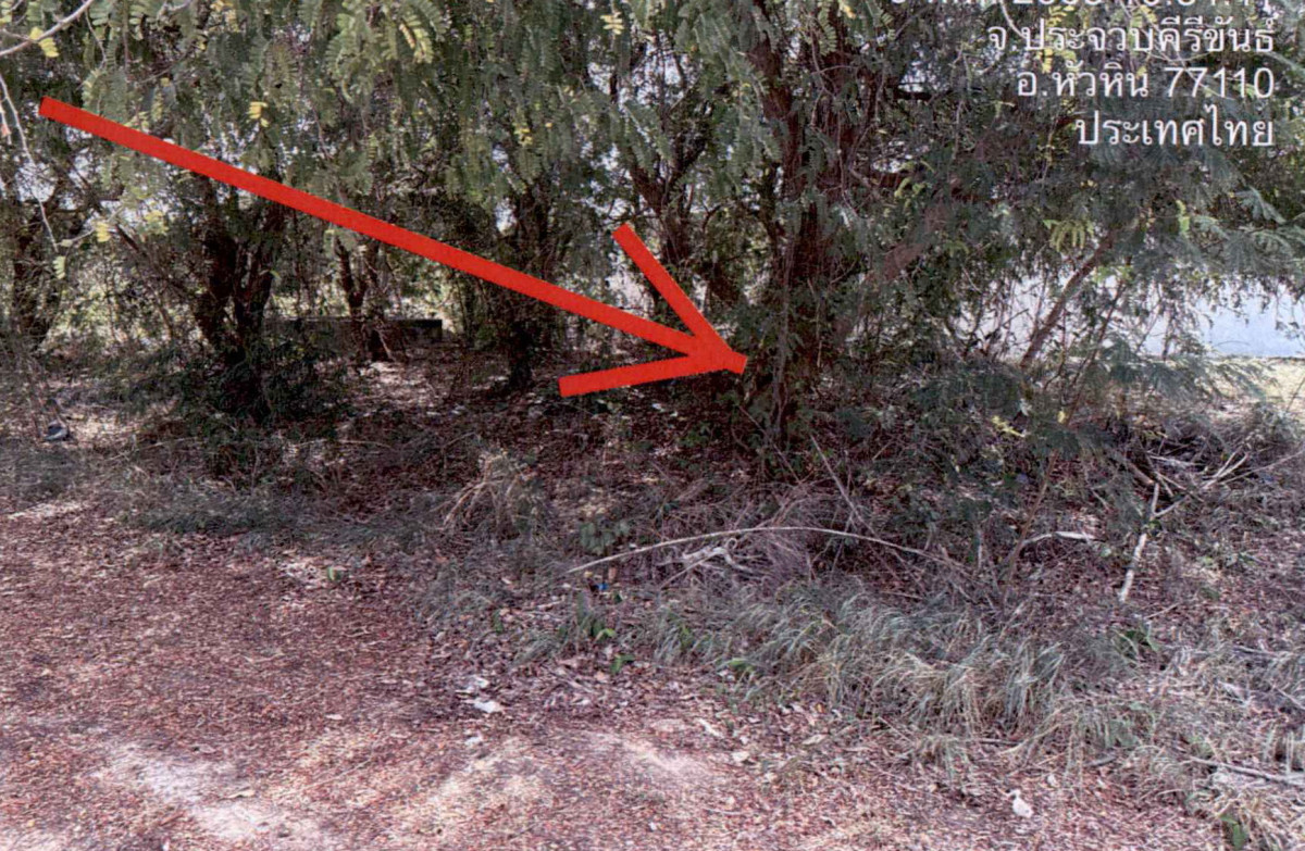 Residential land/lot Prachuap Khiri Khan Hua Hin Thap Tai 197500