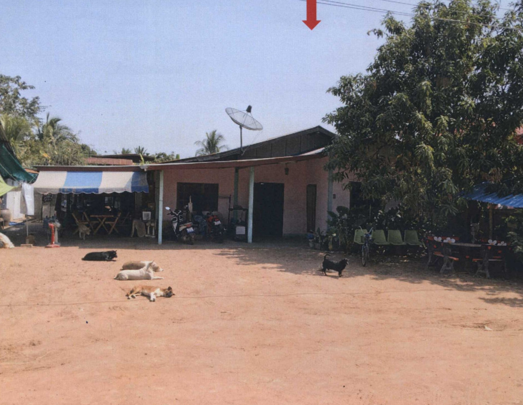 บ้านเดี่ยว กาฬสินธุ์ ฆ้องชัย โคกสะอาด 371250