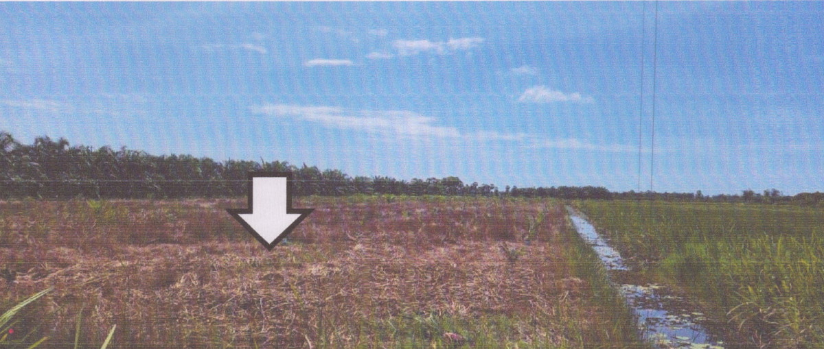 Residential land/lot Songkhla Sathing Phra Chum Phon 585270