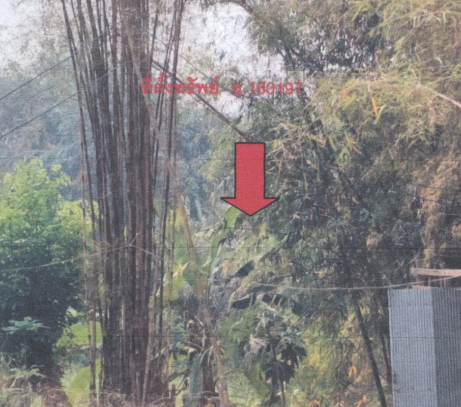 ที่ดินเปล่า ลำปาง เมืองลำปาง ต้นธงชัย 40000