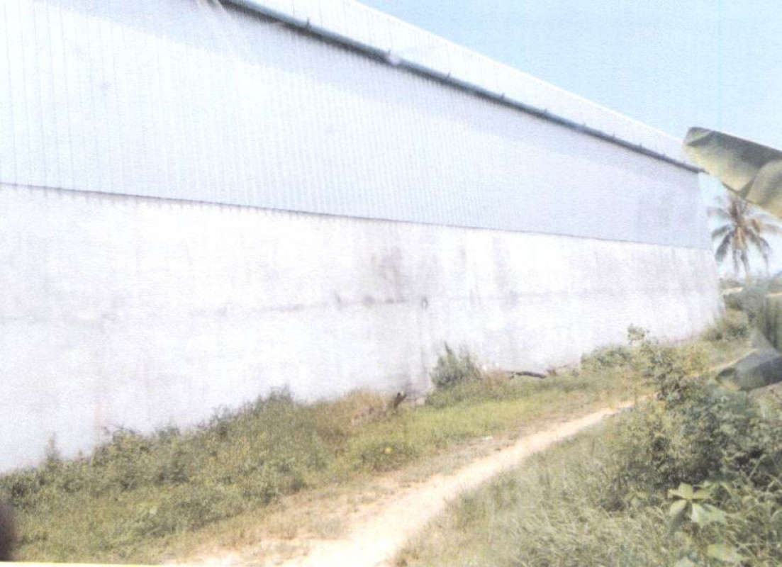 บ้านเดี่ยว สงขลา ระโนด ตะเครียะ 3996000