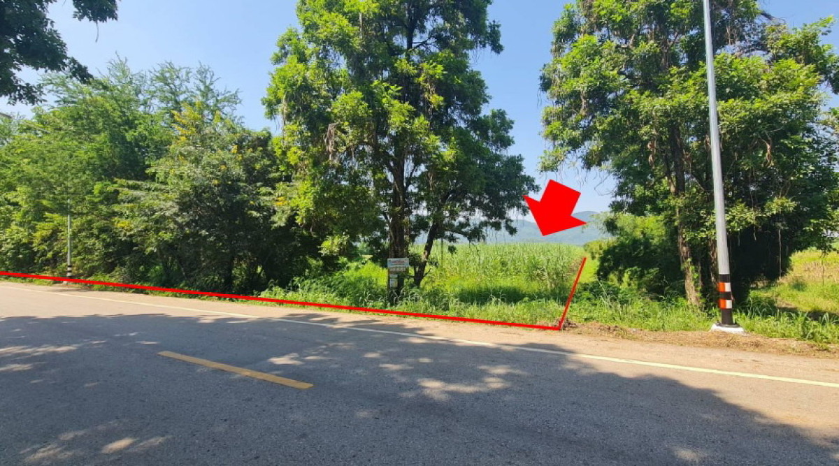 Residential land/lot Phetchabun Wichian Buri Sam Yaek 774010