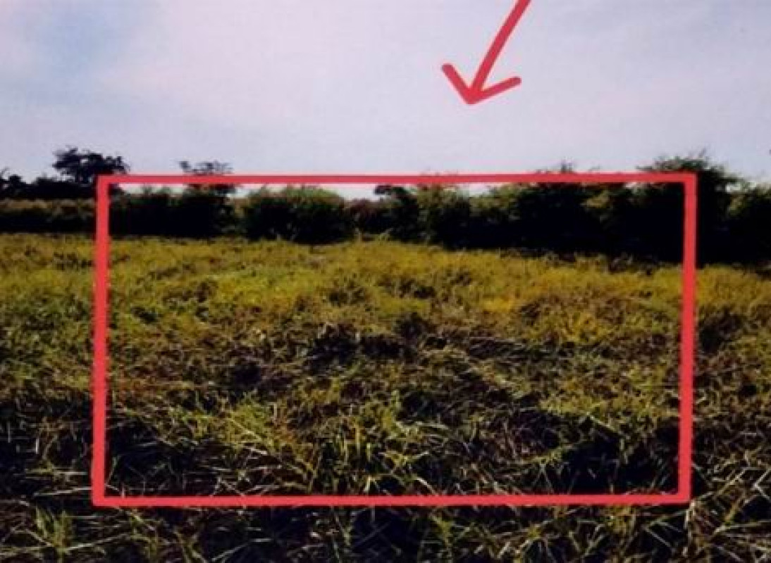 ที่ดินเปล่า นครราชสีมา ชุมพวง ตลาดไทร 14220