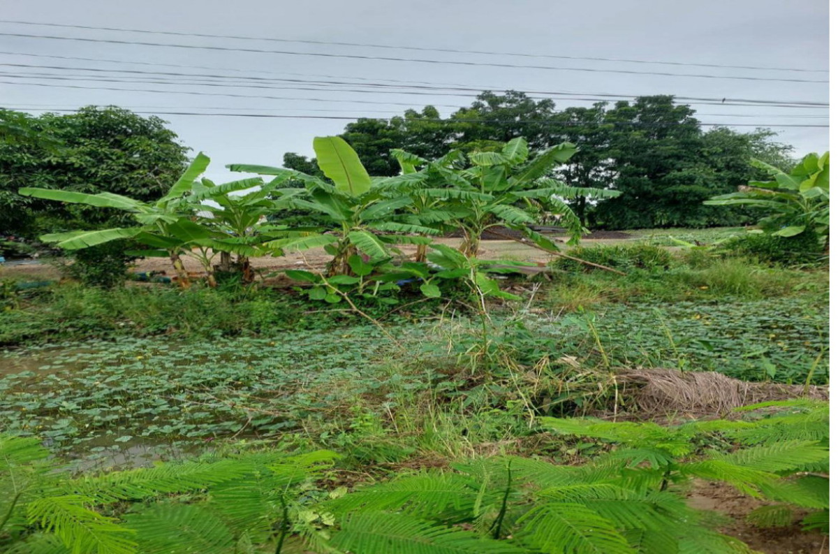 Residential land/lot Nakhon Sawan Banphot Phisai Bueng Pla Thu 552000